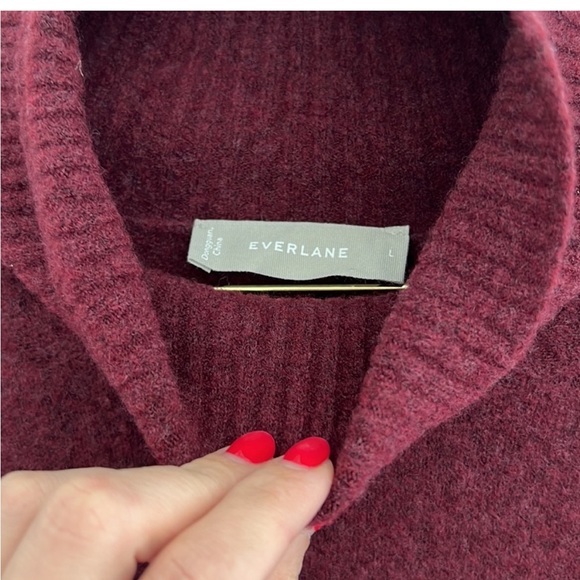 NWOT Everlane The Cozy Stretch Turtleneck Dress - large - Picture 3 of 9